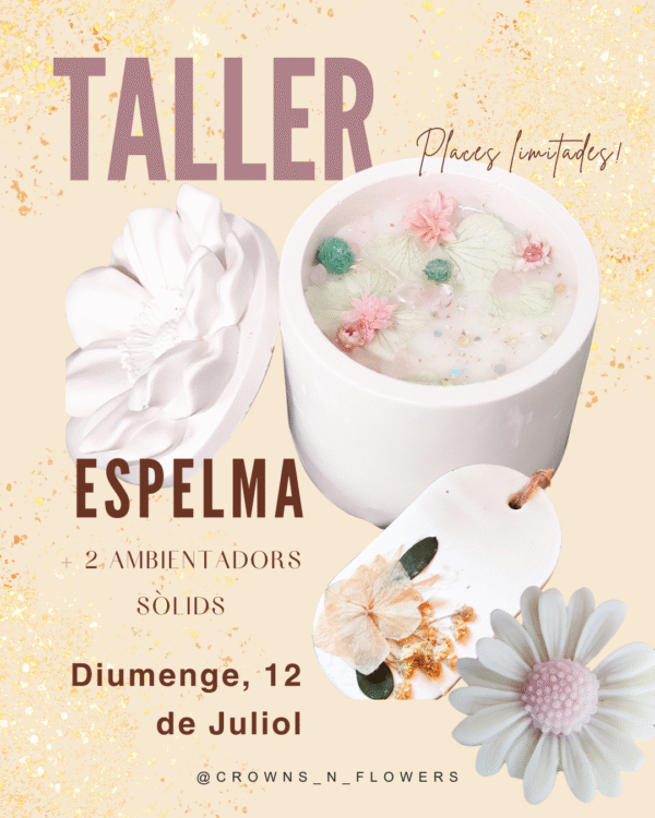 taller 12 Juliol