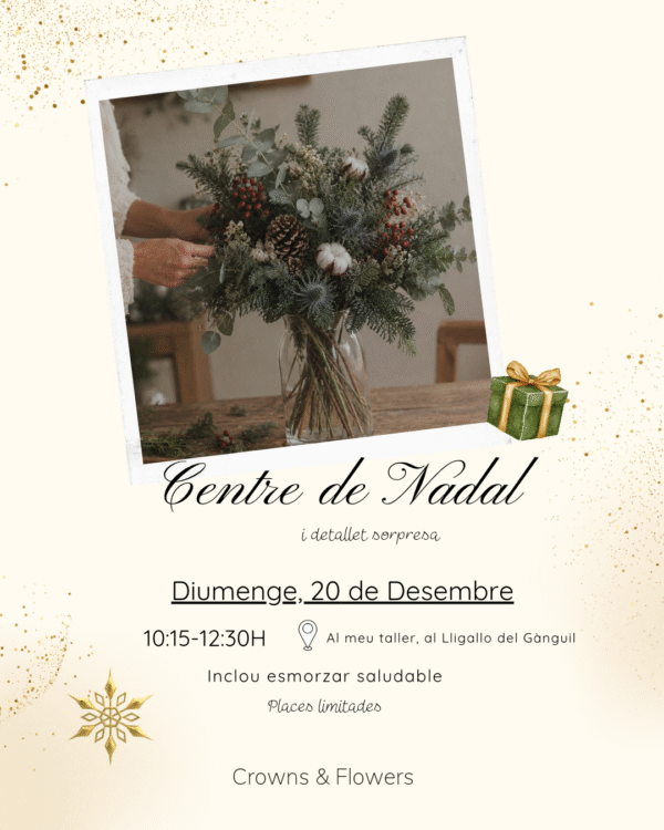 Taller Centro de Navidad 20/12/2026 Taller Centro de Navidad 20/12/2026
