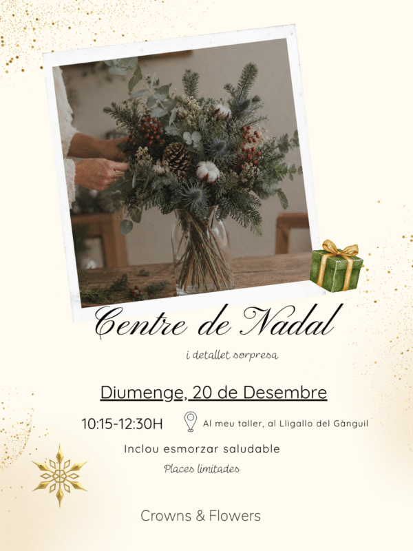 Taller Centro de Navidad 20/12/2026