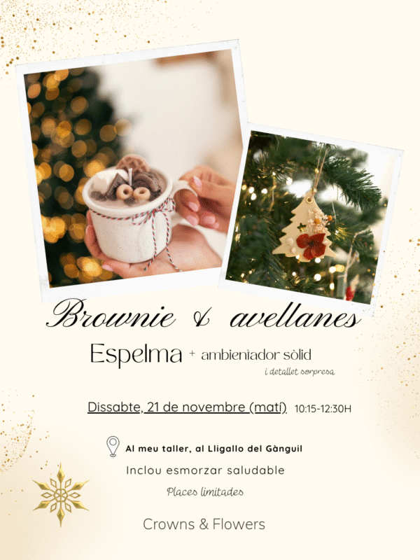 Taller Vela Brownie 21/11/2026 Taller Vela Brownie 21/11/2026