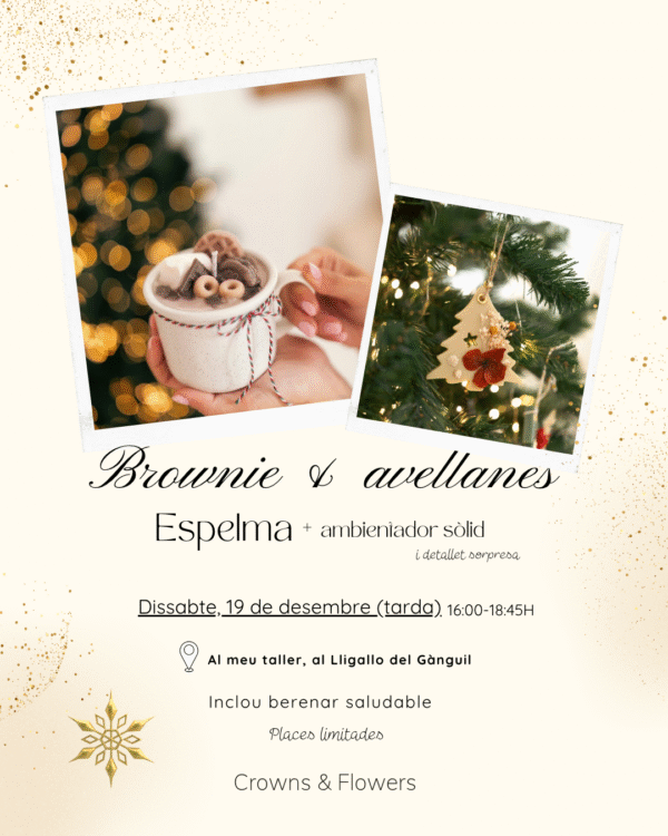 Taller Vela Brownie 19/12/2026 Taller Vela Brownie 19/12/2026
